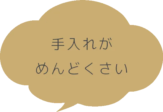 こんにちはCuraの湊です。